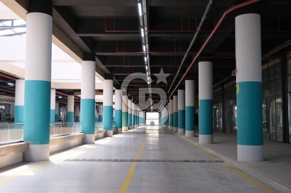MEGA ŞAŞMAZ'DA YOLA CEPHELİ SATILIK DÜKKAN