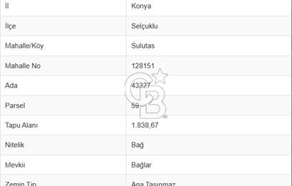 CB'DEN SULUTAS'TA DOĞAYLA İÇ İÇE, ALTYAPI İMKANLI YATIRIMLIK BAĞ