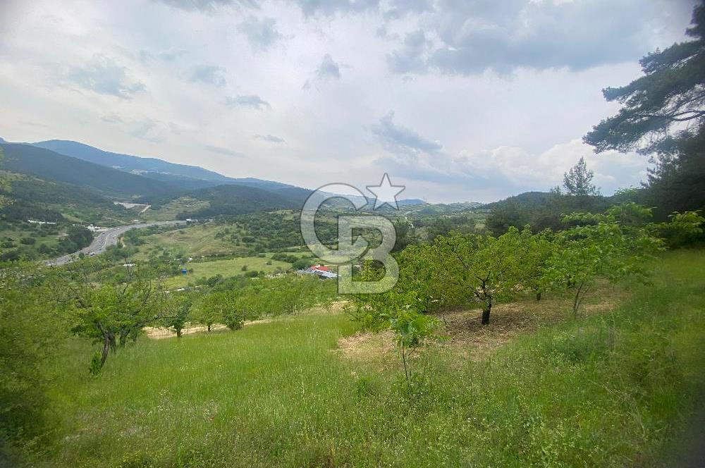 MUSELAND-İZMİR BORNOVA KARAÇAM SATILIK TARLA
