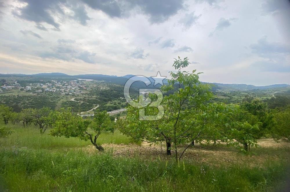 MUSELAND-İZMİR BORNOVA KARAÇAM SATILIK TARLA