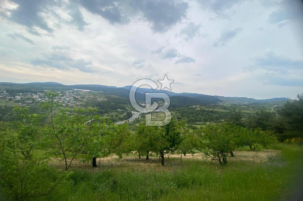 MUSELAND-İZMİR BORNOVA KARAÇAM SATILIK TARLA
