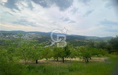 MUSELAND-İZMİR BORNOVA KARAÇAM SATILIK TARLA
