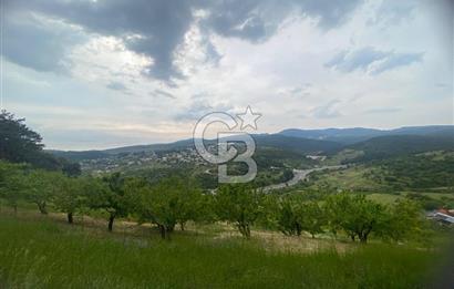 MUSELAND-İZMİR BORNOVA KARAÇAM SATILIK TARLA