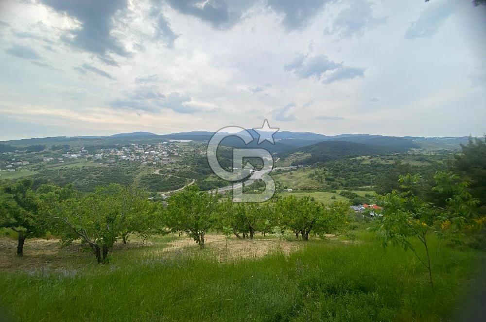 MUSELAND-İZMİR BORNOVA KARAÇAM SATILIK TARLA