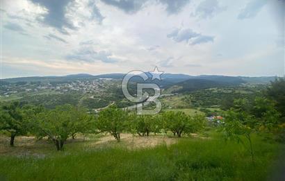 MUSELAND-İZMİR BORNOVA KARAÇAM SATILIK TARLA