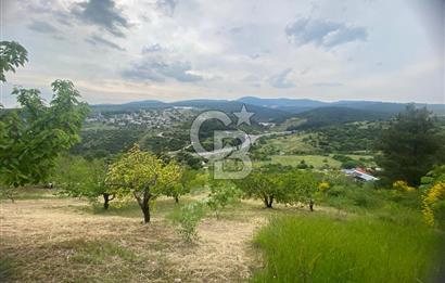 MUSELAND-İZMİR BORNOVA KARAÇAM SATILIK TARLA
