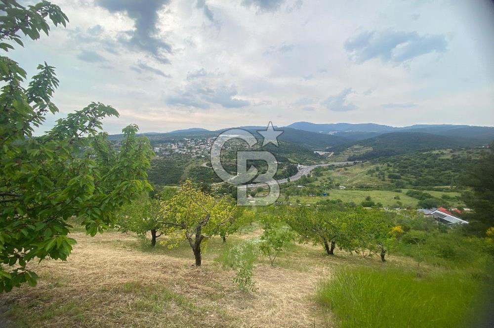 MUSELAND-İZMİR BORNOVA KARAÇAM SATILIK TARLA