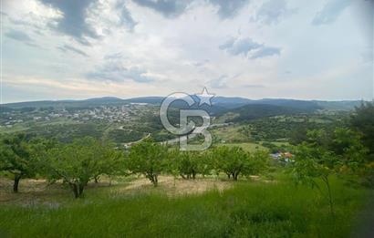 MUSELAND-İZMİR BORNOVA KARAÇAM SATILIK TARLA