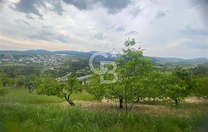 MUSELAND-İZMİR BORNOVA KARAÇAM SATILIK TARLA