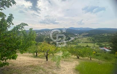 MUSELAND-İZMİR BORNOVA KARAÇAM SATILIK TARLA