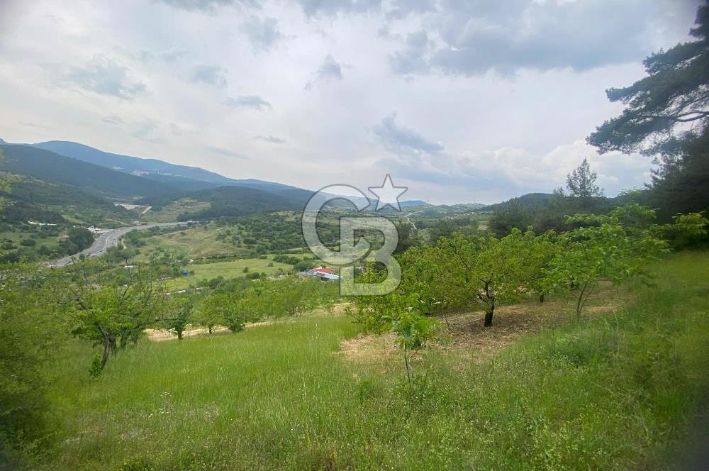 MUSELAND-İZMİR BORNOVA KARAÇAM SATILIK TARLA