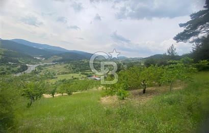 MUSELAND-İZMİR BORNOVA KARAÇAM SATILIK TARLA