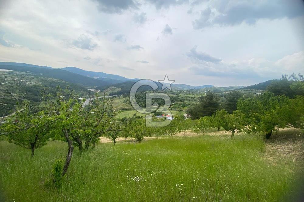 MUSELAND-İZMİR BORNOVA KARAÇAM SATILIK TARLA