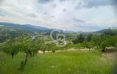MUSELAND-İZMİR BORNOVA KARAÇAM SATILIK TARLA