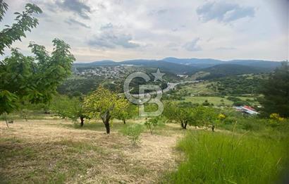 MUSELAND-İZMİR BORNOVA KARAÇAM SATILIK TARLA