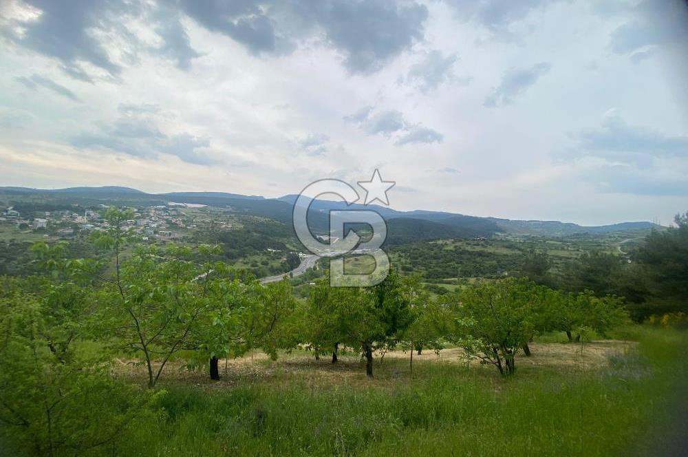 MUSELAND-İZMİR BORNOVA KARAÇAM SATILIK TARLA