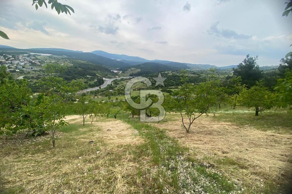 MUSELAND-İZMİR BORNOVA KARAÇAM SATILIK TARLA