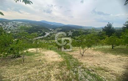 MUSELAND-İZMİR BORNOVA KARAÇAM SATILIK TARLA