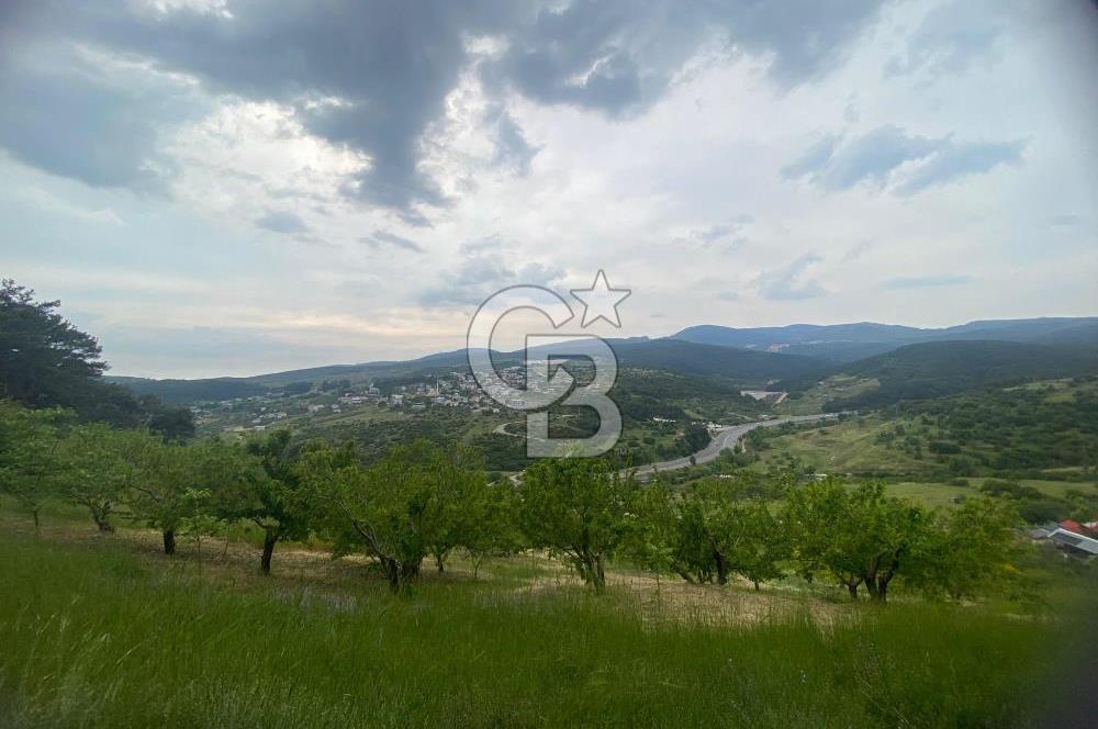 MUSELAND-İZMİR BORNOVA KARAÇAM SATILIK TARLA