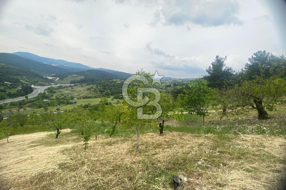 MUSELAND-İZMİR BORNOVA KARAÇAM SATILIK TARLA