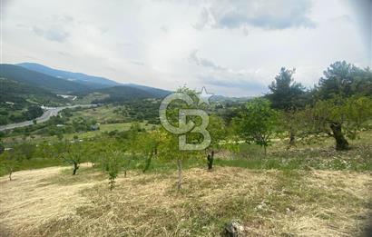 MUSELAND-İZMİR BORNOVA KARAÇAM SATILIK TARLA