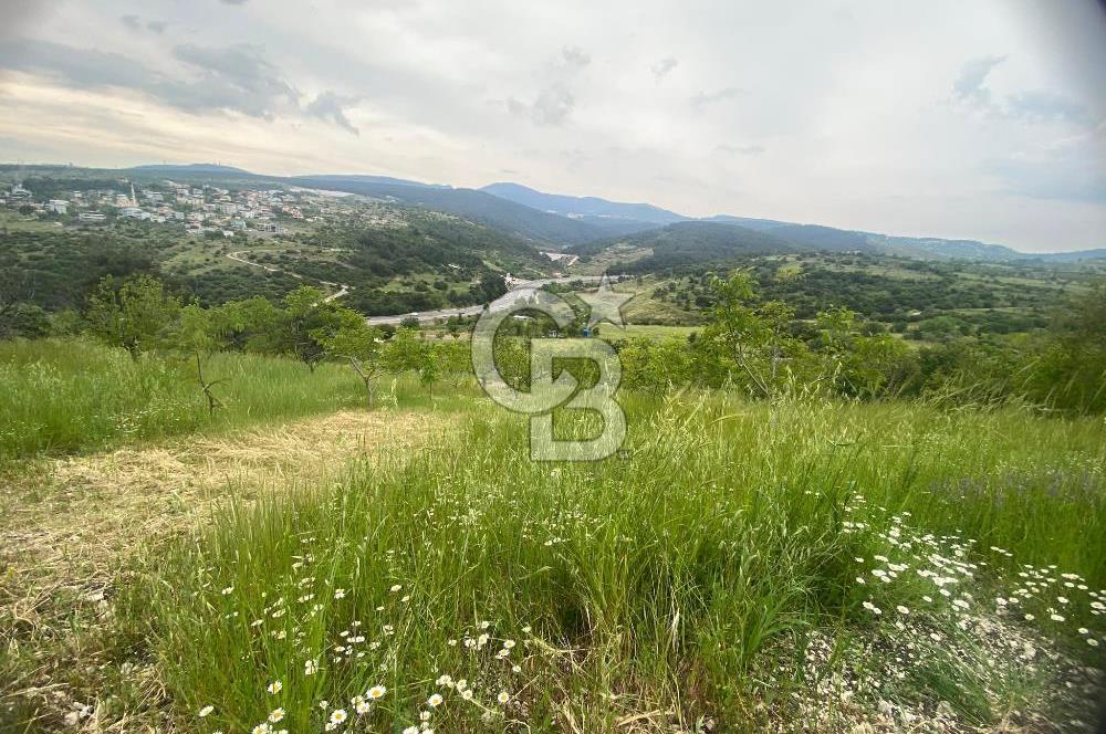 MUSELAND-İZMİR BORNOVA KARAÇAM SATILIK TARLA