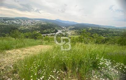 MUSELAND-İZMİR BORNOVA KARAÇAM SATILIK TARLA