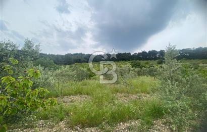 MUSELAND-İZMİR BORNOVA KARAÇAM SATILIK TARLA