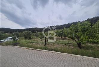 MUSELAND-İZMİR BORNOVA KARAÇAM SATILIK TARLA - 3 - 352617