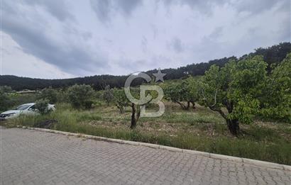 MUSELAND-İZMİR BORNOVA KARAÇAM SATILIK TARLA