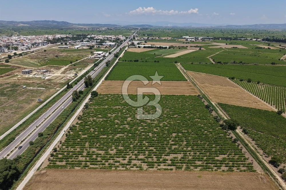 İzmir- İstanbul Karayolu Üzerinde Satılık Hisseli Tarla
