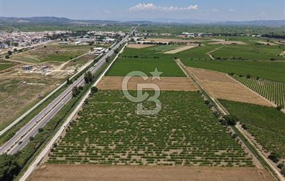 İzmir- İstanbul Karayolu Üzerinde Satılık Hisseli Tarla