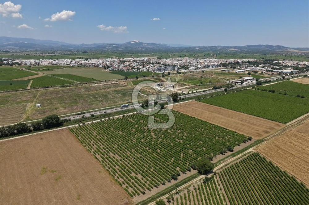 İzmir- İstanbul Karayolu Üzerinde Satılık Hisseli Tarla