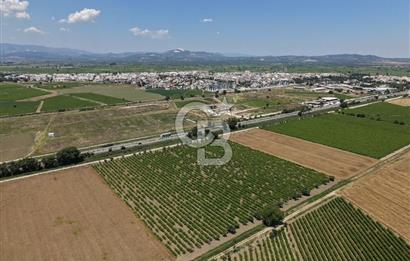 İzmir- İstanbul Karayolu Üzerinde Satılık Hisseli Tarla
