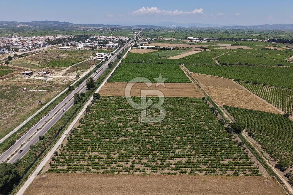 İzmir- İstanbul Karayolu Üzerinde Satılık Hisseli Tarla