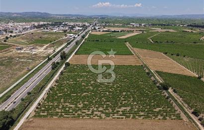 İzmir- İstanbul Karayolu Üzerinde Satılık Hisseli Tarla