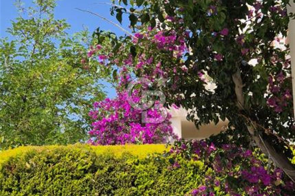 Bodrum Boğaziçi'nde Yazlık Kiralık 2+1 Bahçe Katı Daire