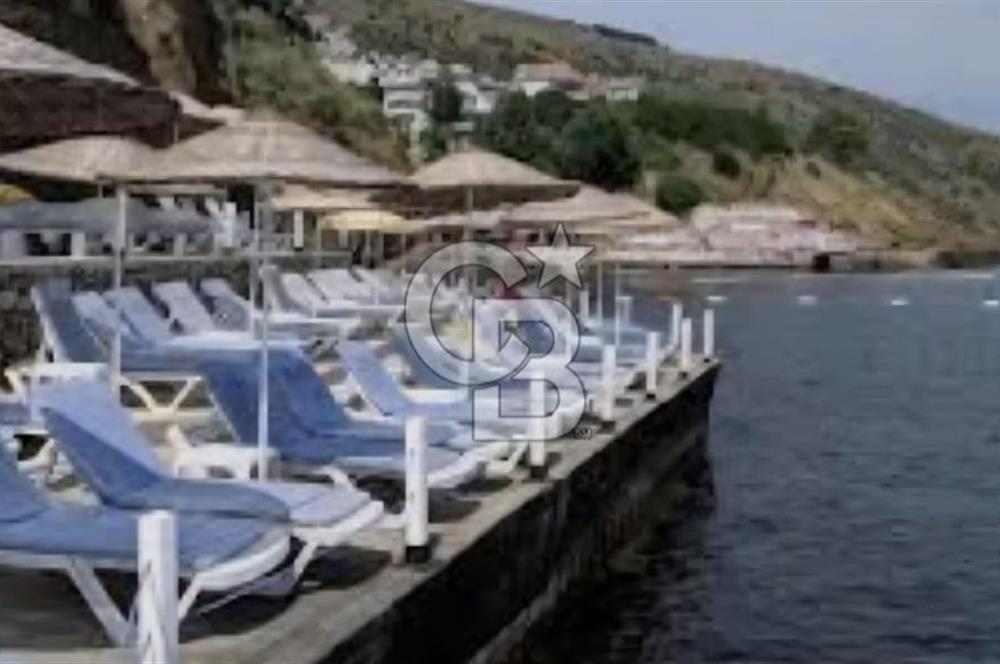 Bodrum Boğaziçi'nde Yazlık Kiralık 2+1 Bahçe Katı Daire