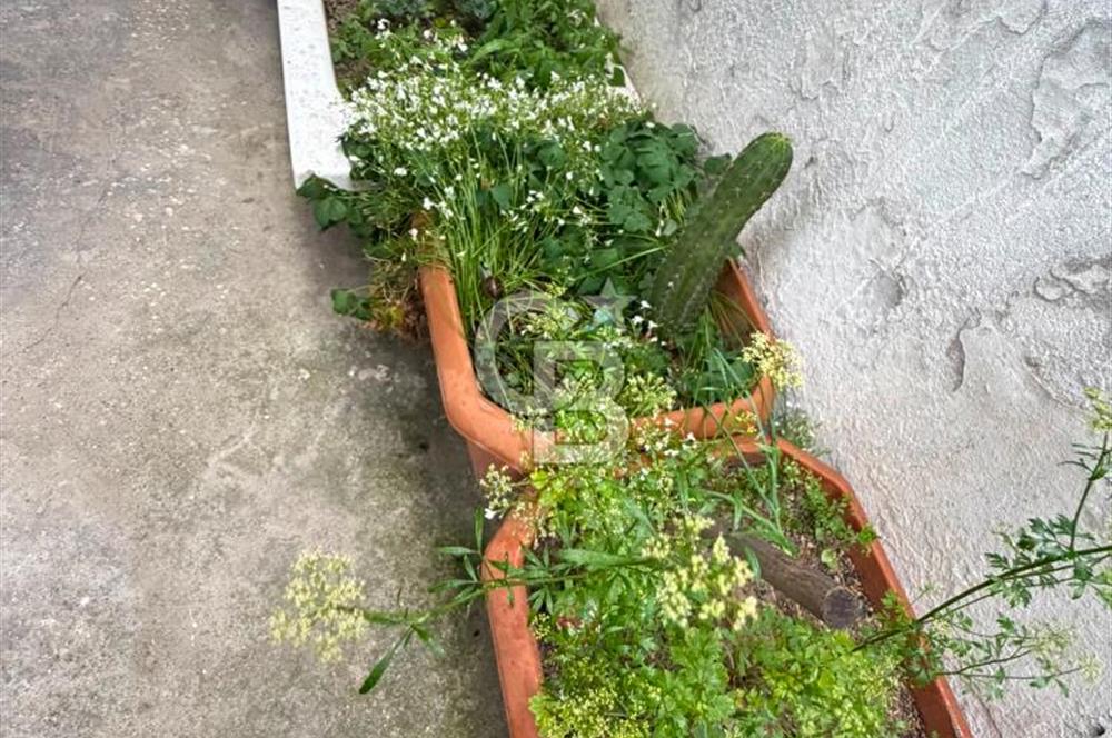 Pendik Esenyalı'da Bahçe Kullanımlı Satılık İki Artı Bir Daire