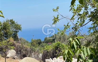 Karaburun Eğlenhoca Mahallesi'nde 472 m² Konut İmarlı Arsa