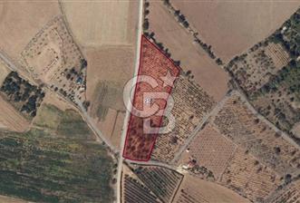 Niğde Bor Karamahmutlu Köyü'nde 7.200 m2 Satılık Yatırımlık Arsa - 2 - 352636
