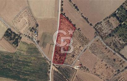 Niğde Bor Karamahmutlu Köyü'nde 7.200 m2 Satılık Yatırımlık Arsa