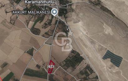 Niğde Bor Karamahmutlu Köyü'nde 7.200 m2 Satılık Yatırımlık Arsa