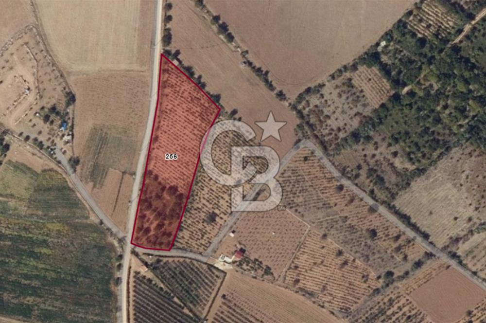 Niğde Bor Karamahmutlu Köyü'nde 7.200 m2 Satılık Yatırımlık Arsa