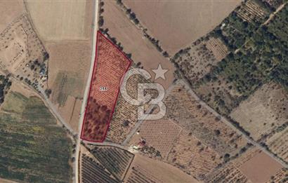Niğde Bor Karamahmutlu Köyü'nde 7.200 m2 Satılık Yatırımlık Arsa