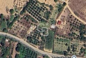 Geyve Akdoğan 558 m2 müstakil  - 1 - 352634