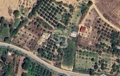 Geyve Akdoğan 558 m2 müstakil 
