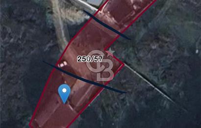 NİLÜFER ODUNLUK'TA DOĞA İLE İÇ İÇE ŞEHİR MANZARALI TARŞA 497 M2