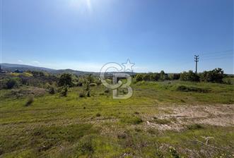 NİLÜFER HASANAĞA VİLLA İMARLI ARSA 1936 M2 - 4 - 352660