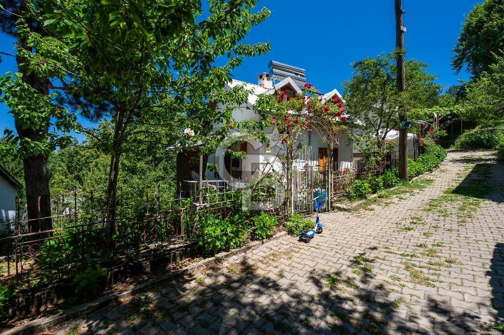 Elmaçukur Mahallesi Doğa ile İç İçe Müstakil Ev